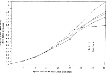 Figure 1. The growth average of the body weight in grams of chickens (Baycox Experiment)