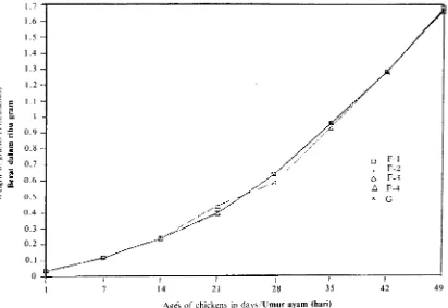 Figure 4. Gambar 4. The growth average of the body weight in grams of chickens (Cygro Experiment)