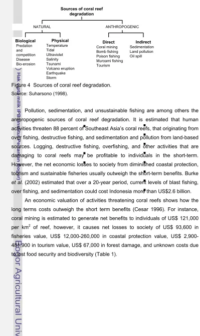 Figure 4  Sources of coral reef degradation. 