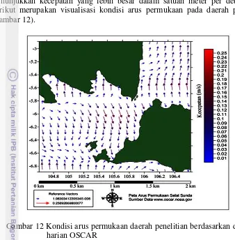 Gambar 12 Kondisi arus permukaan daerah penelitian berdasarkan data 