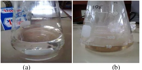 Gambar 2  Polisulfon sebelum (a) dan sesudah (b) sulfonasi 