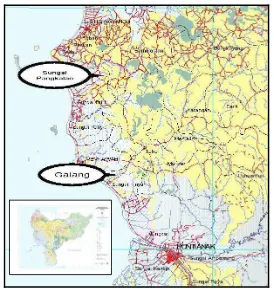 Gambar 1. Peta lokasi pengamatan nenas di Kalimantan Barat. 