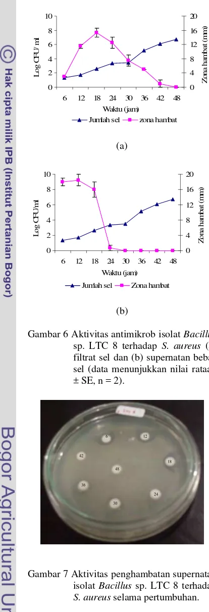 Gambar 6 Aktivitas antimikrob isolat Bacillus 