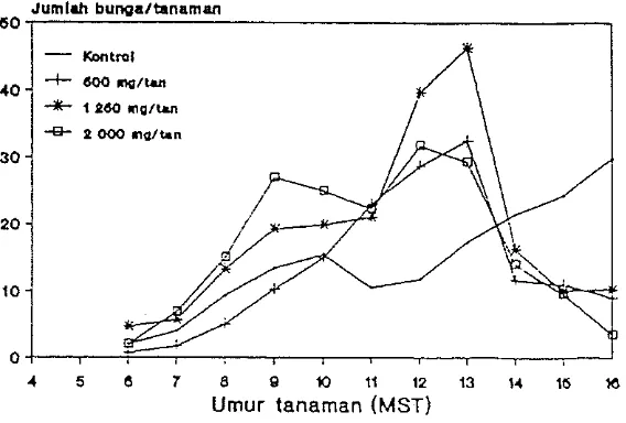 Gambar 7. Perkembangan Jumlah Bunga p e r  Tanaman 