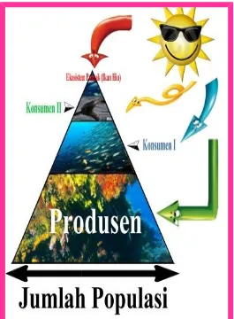 Gambar Piramida makanan ( ekosistem air laut )