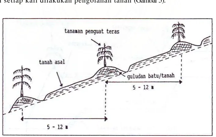 Gambar 4. Teras Datar 