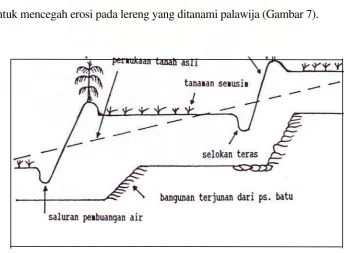 Gambar 6. Teras Guludan 