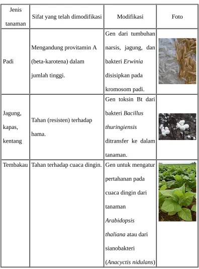 tabel di bawah ini.