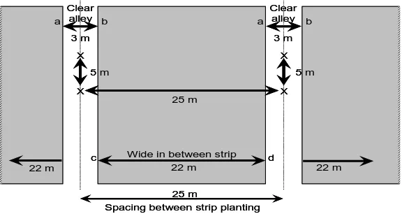 Gambar 1.  Contoh layout penanaman pada line planting technique   (Sumber: Setiadi, 2003) 