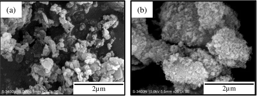 Figure 1 shows the SEM image of hBN and Al2their sizes were rather uniform. The physical properties of the nanoparticles are shown in AlO3 nanoparticles