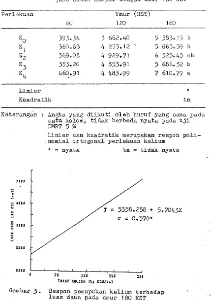 Gambar 3 .  Respon pernupukan kalium terhadap 