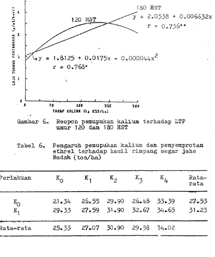 Gambar 6. Respon pemupukan k a l i u m  terhadap LTP umur 180 EST 