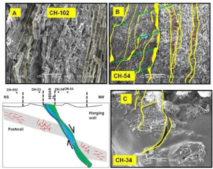 Figure 7. The type of coal cleat deformation in Sajau Coal based on SEM investigation 