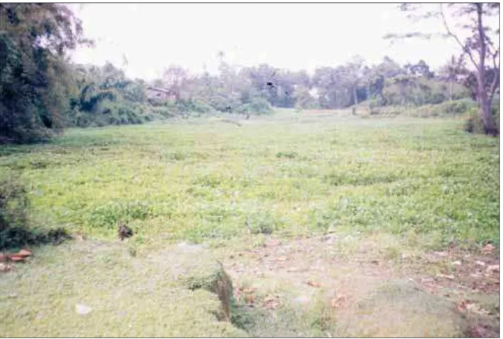 Tabel-3.  Analisa SWOT Objek Ekowisata di Kawasan Tanah Pinem Photo-5. Panorama Danau Kempawa yg telah ditutupi Enceng Gondok