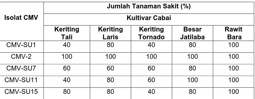 Tabel 3.  Jumlah Tanaman Sakit (%) pada Uji Virulensi Empat Isolat CMV Asal Sumatera Utara 