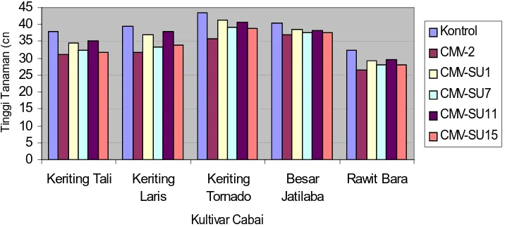 Gambar 2.  Rata-Rata Tinggi Tanaman (14 Hari Setelah Inokulasi)   pada Uji Virulensi Empat Isolat CMV Asal Sumatera Utara