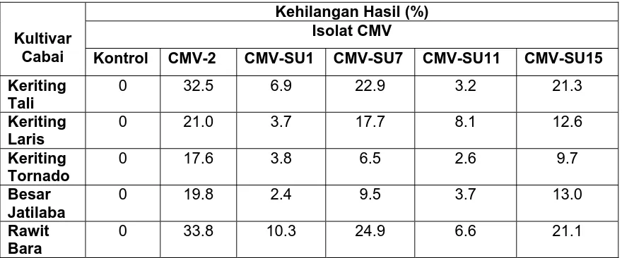 Tabel 4.  Rata-Rata Kehilangan Hasil (%) Setelah Empat Kali Panen pada Uji Virulensi Empat Isolat CMV Asal Sumatera Utara  