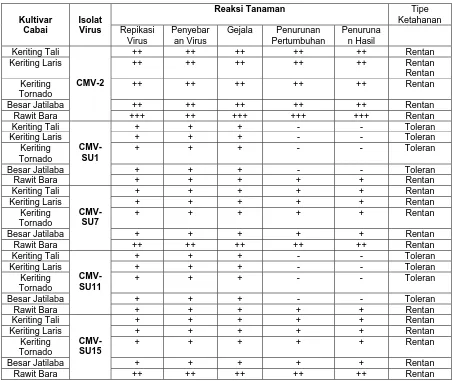 Tabel 5.  Pengelompokan Lima Kultivar Cabai Terhadap Infeksi Isolat CMV-2 dan Empat Isolat CMV Asal Sumatera Utara   