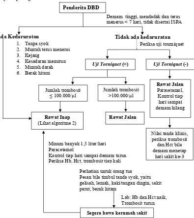 Gambar 1. Algoritma tatalaksana kasus penderita DBD Segera bawa kerumah sakit 