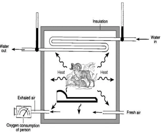 Gambar 9.   Kalorimeter langsung   