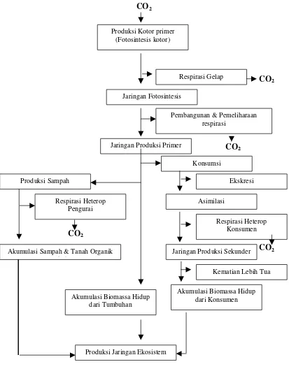 Gambar 1.  Proses pengontrolan keseimbangan karbon pada ekosistem daratan (Barnes et al., 1998)