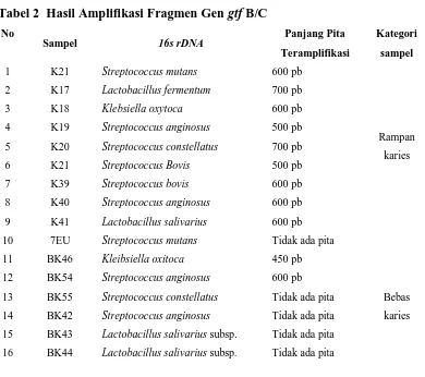 Tabel 2  Hasil Amplifikasi Fragmen Gen gtf B/C 
