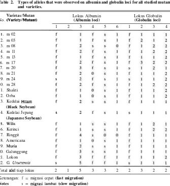 Table 2. Types of alleles that were observed on albumin and globulin loci for all studied mutants 