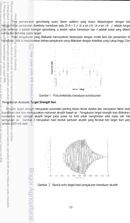 Gambar 2. Bentuk echo target hasil pengukuran transducer akustik. 