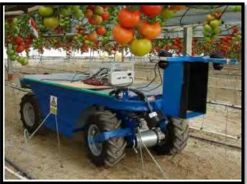 Figure 2.2: Mobile Robot for Agriculture Task in Greenhouse 