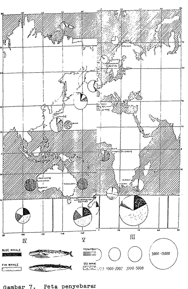 Gambar  7.  Peta  penyebarru  Sumber  Slijper  (1985), 