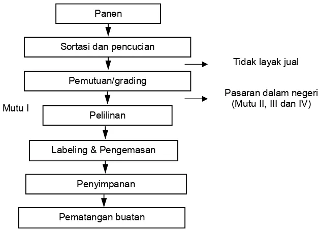 Gambar 2. Diagram alir proses pascapanen mangga untuk ekspor. 