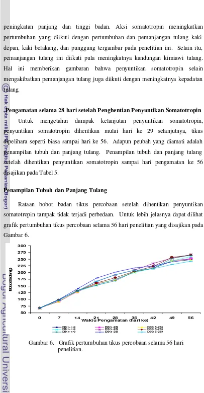 grafik pertumbuhan tikus percobaan selama 56 hari penelitian yang disajikan pada 