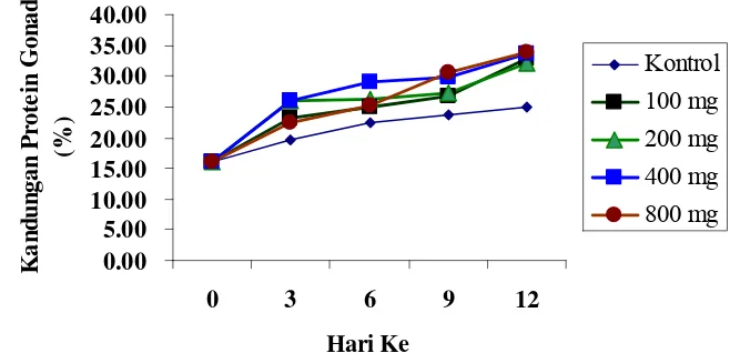 Gambar 4  Pengaruh pemberian estradiol-17 β terhadap   kandungan  pro-                   tein   gonad (%) dari awal sampai hari ke-12 