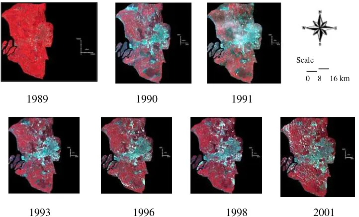 Figure 1 shows Landsat bands 4, 5 and 3 assigned red, green and blue from 1989, 1990, 1991, 1993, 1996, 1998 and 2001.There were three main classes of land use north from 1989 to 1993, but later, from 1996 to 2001, land use changes gravitate to by forest