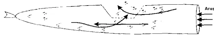 Gambar 10. Proses pelolosan ikail dari JTED menggunakan bagian caudal 