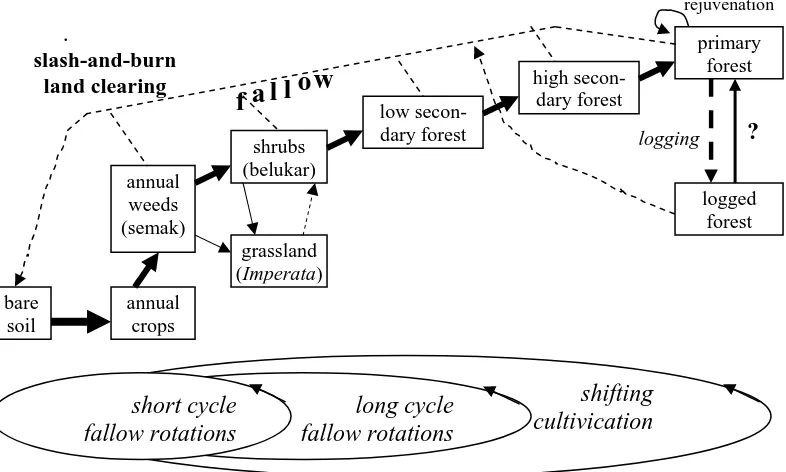 Gambar 1.  Sistem penggunaan lahan yang dimulai dengan teknik slash-and-burn di tropika basah (Sumber: Van Noordwijk et al., 1995, 2001)  