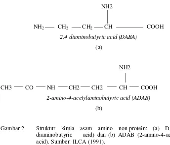 Gambar 2 Struktur kimia asam amino non-protein: (a) DABA (2,4 