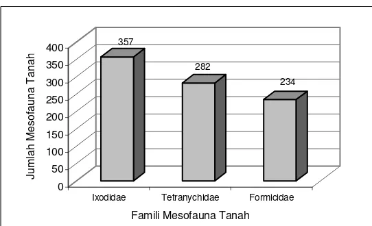 Gambar 4. Jumlah Mesofauna Tanah pada Lahan Hutan 