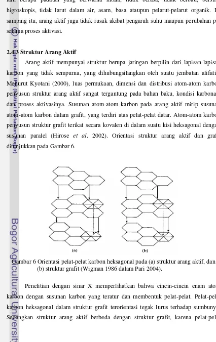 Gambar 6 Orientasi pelat-pelat karbon heksagonal pada (a) struktur arang aktif, dan 