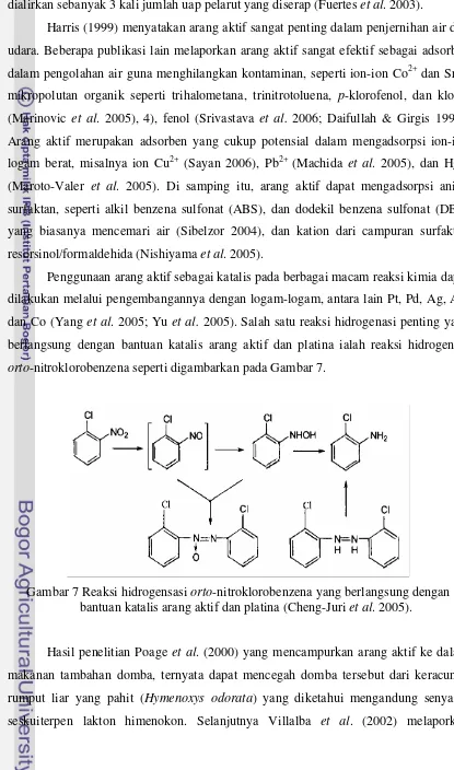 Gambar 7 Reaksi hidrogensasi orto-nitroklorobenzena yang berlangsung dengan 