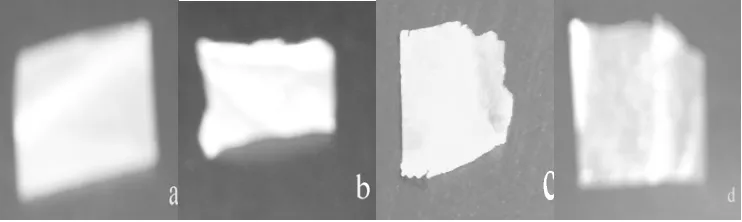 Gambar 6 Bentuk permukaan visual poliblend dari komposisi (a) A, (b) B, (c) C, dan (d) D