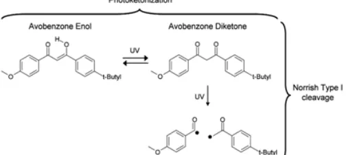 Fig. 1: Photoketonization reaction (reversible) and Norrish Type I reaction (irreversible) of Avobenzone