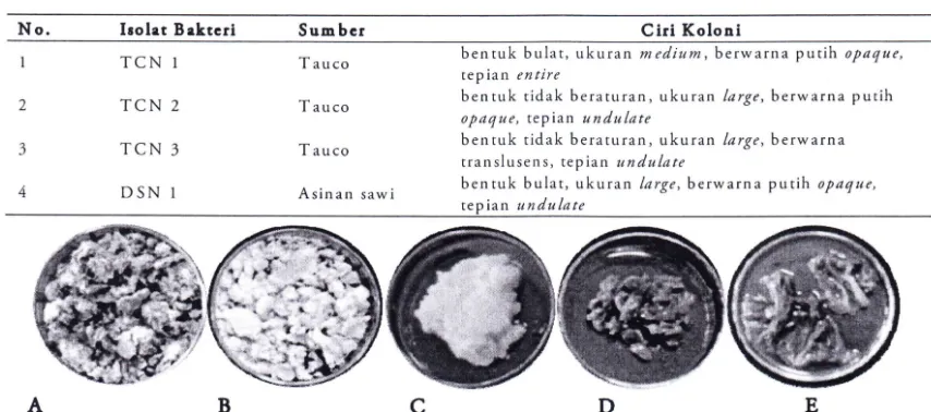 Gambar 1. Sampel pangan fermentasi yang digunakan sebagai sumber isolat: oncom merah (a), tempe (b), tape ketan (c), tau co (d), asinan sawi (e) 