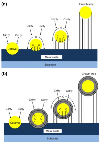 Fig. 3. TEM images of ACNTs. Left image shows bundle of ACNTs with Co CNP at thetop and inside the nanotube hollows