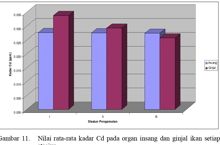 Gambar 11.   Nilai rata-rata kadar Cd pada organ insang dan ginjal ikan setiap 