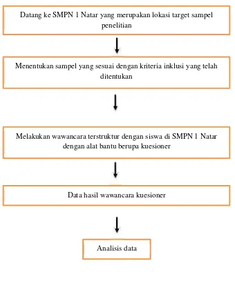 Gambar 5. Sistematika prosedur penelitian