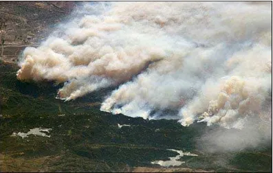 Gambar 1. Pembukaan areal pertanian yang melibatkan kegiatan pembakaran hutan. 