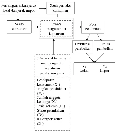 Gambar 4. Paradigma penelitian analisis sikap dan pengambilan keputusan dalam  membeli buah jeruk lokal dan jeruk impor di Bandar Lampung, 2013