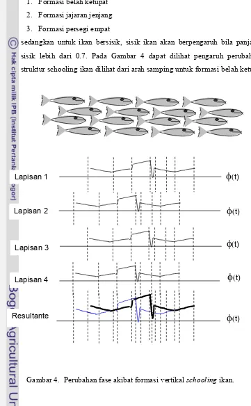 Gambar 4.  Perubahan fase akibat formasi vertikal schooling ikan.  