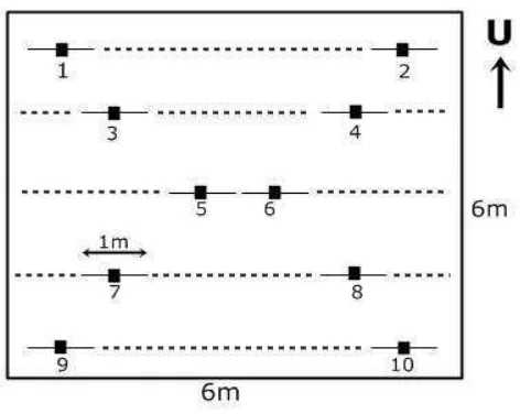 Gambar 2.  Pola penentuan unit sampel pada plot percobaan. 